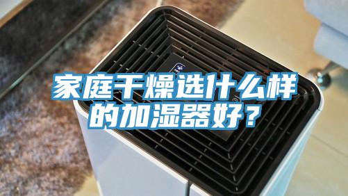 家庭干燥选什么样的加湿器好？
