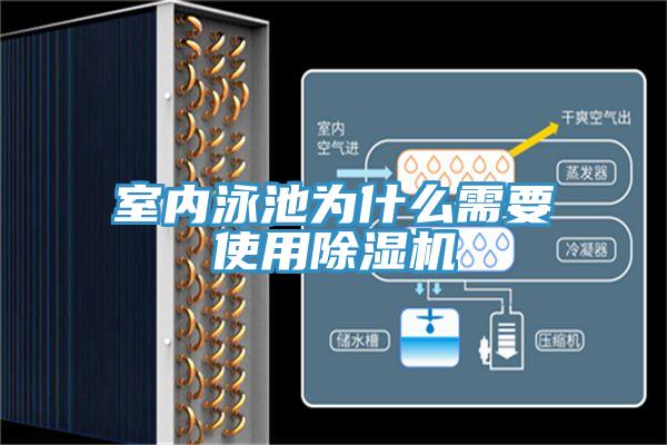 室内泳池为什么需要使用除湿机