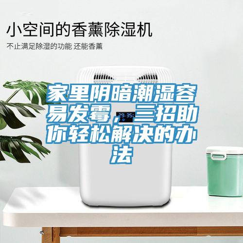 家里阴暗潮湿容易发霉，三招助你轻松解决的办法