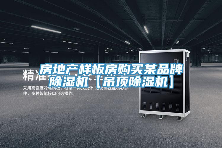 房地产样板房购买某品牌除湿机【吊顶除湿机】