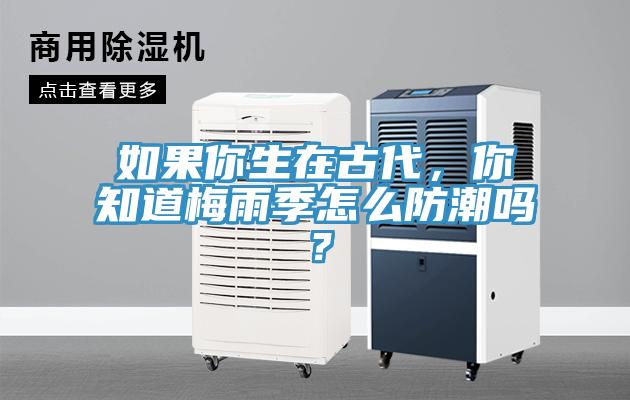 如果你生在古代，你知道梅雨季怎么防潮吗？