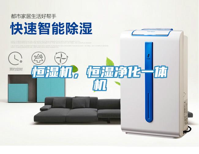 恒湿机，恒湿净化一体机