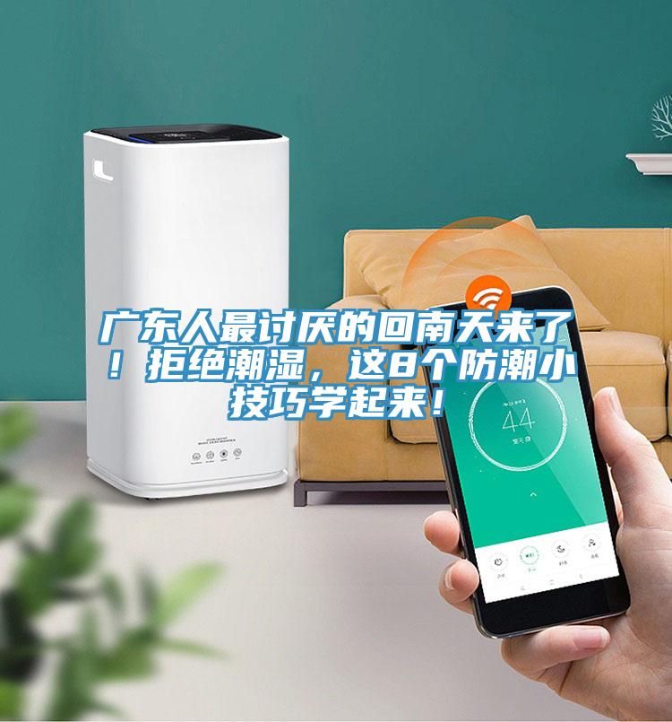 广东人最讨厌的回南天来了！拒绝潮湿，这8个防潮小技巧学起来！