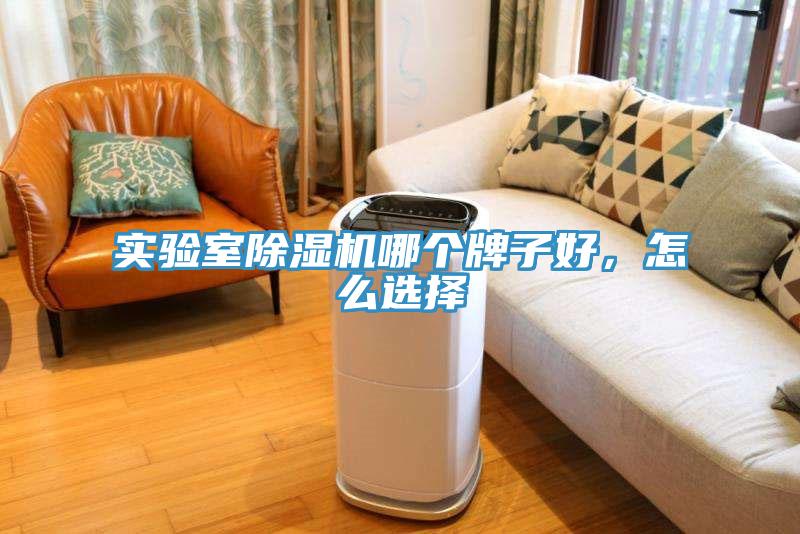 实验室除湿机哪个牌子好，怎么选择