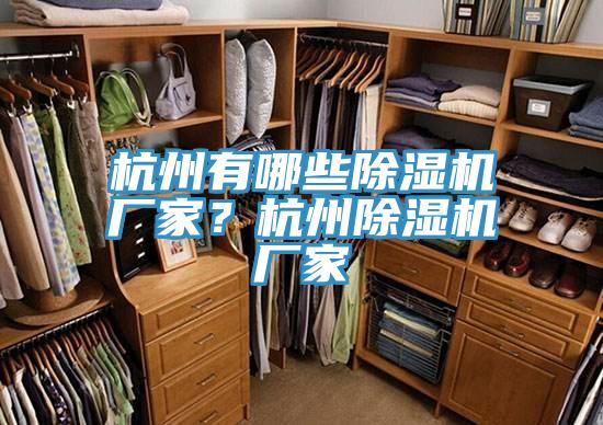杭州有哪些除湿机厂家？杭州除湿机厂家