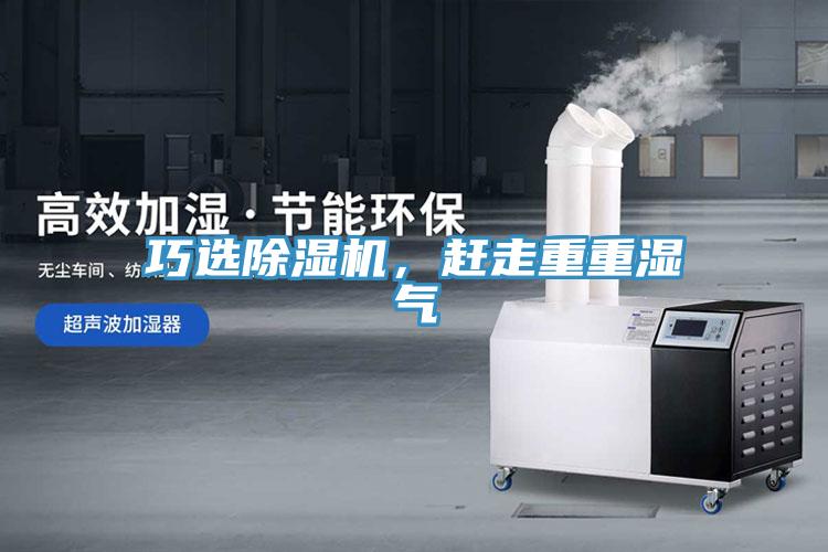 巧选除湿机，赶走重重湿气