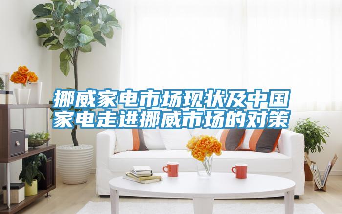 挪威家电市场现状及中国家电走进挪威市场的对策