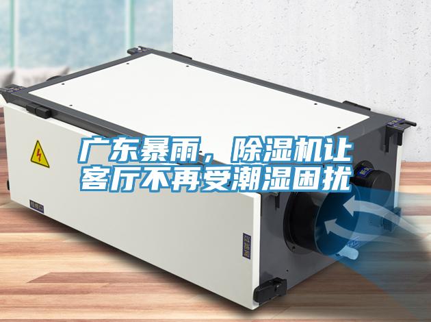 广东暴雨，除湿机让客厅不再受潮湿困扰