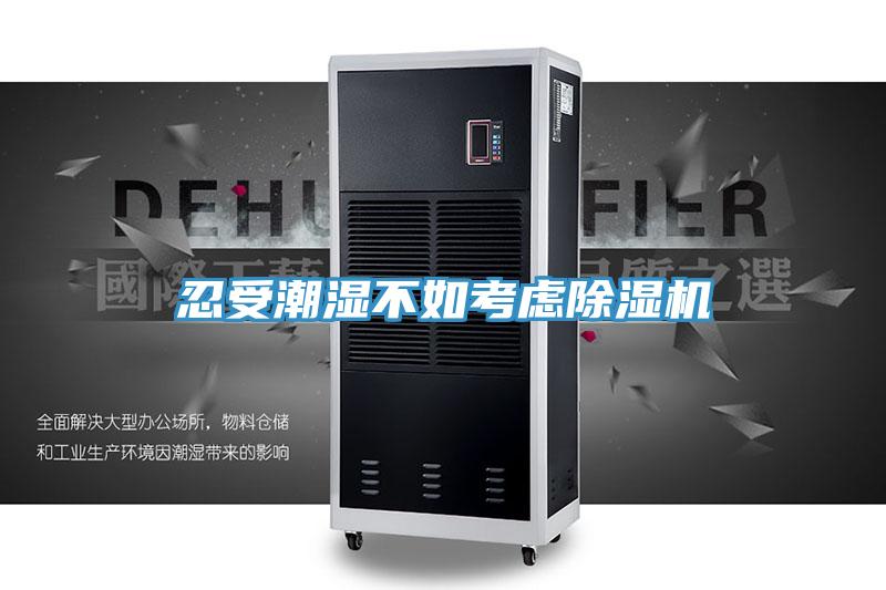 忍受潮湿不如考虑除湿机