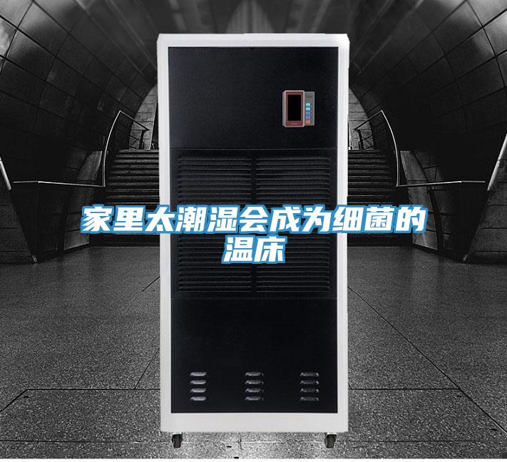 家里太潮湿会成为细菌的温床