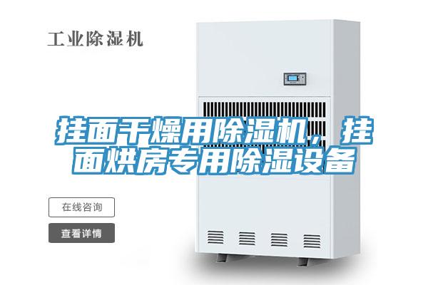 挂面干燥用除湿机，挂面烘房专用除湿设备