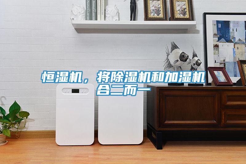 恒湿机，将除湿机和加湿机合二而一
