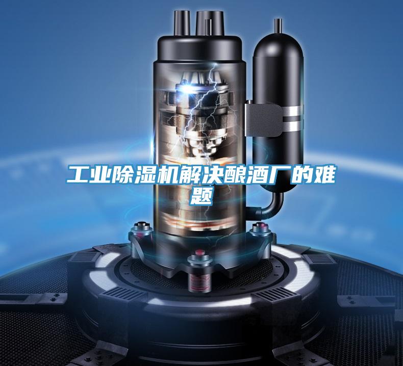 工业除湿机解决酿酒厂的难题