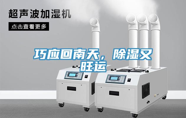 巧应回南天，除湿又旺运