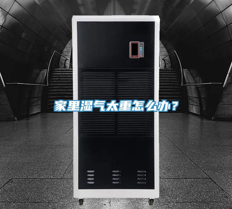 家里湿气太重怎么办？