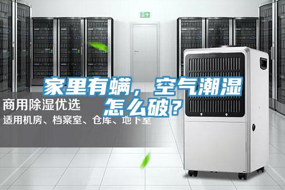 家里有螨，空气潮湿怎么破？