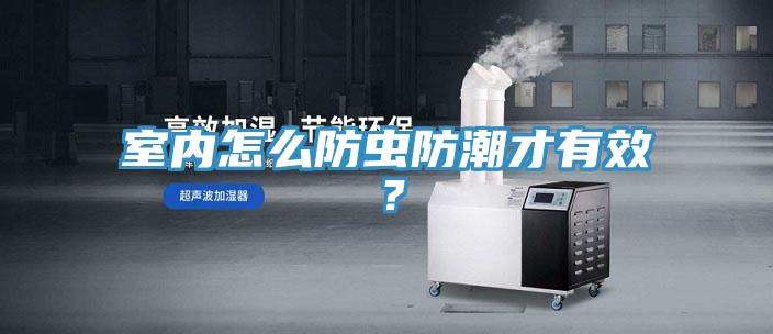 室内怎么防虫防潮才有效？
