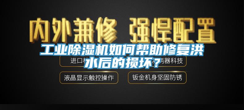 工业除湿机如何帮助修复洪水后的损坏？