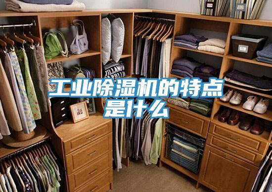 工业除湿机的特点是什么