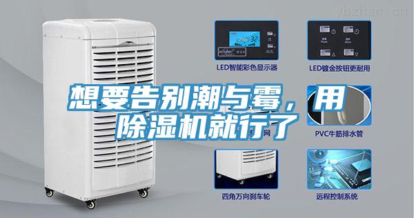 想要告别潮与霉，用除湿机就行了