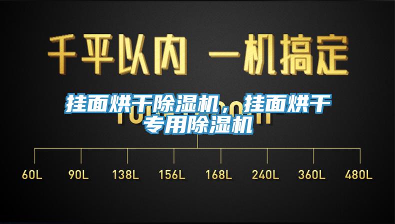 挂面烘干除湿机，挂面烘干专用除湿机