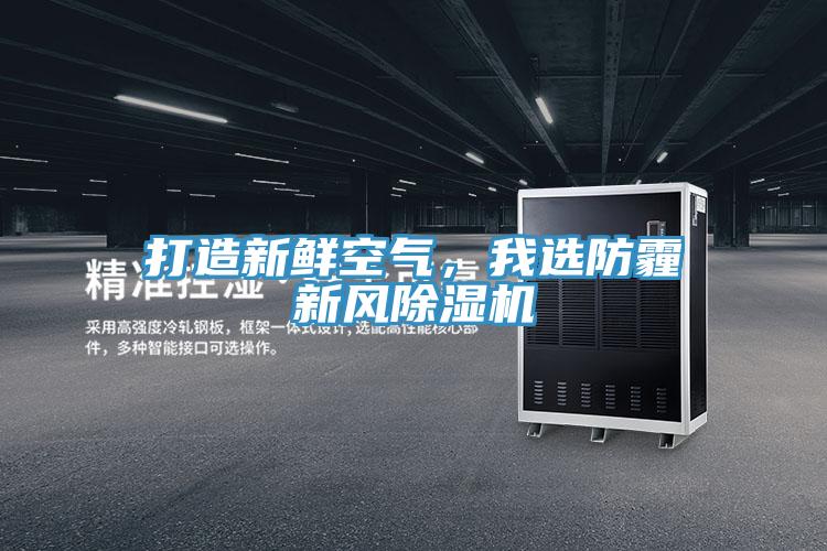 打造新鲜空气，我选防霾新风除湿机