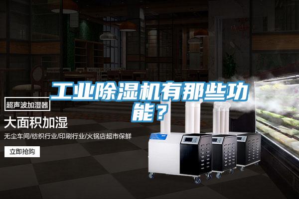 工业除湿机有那些功能？