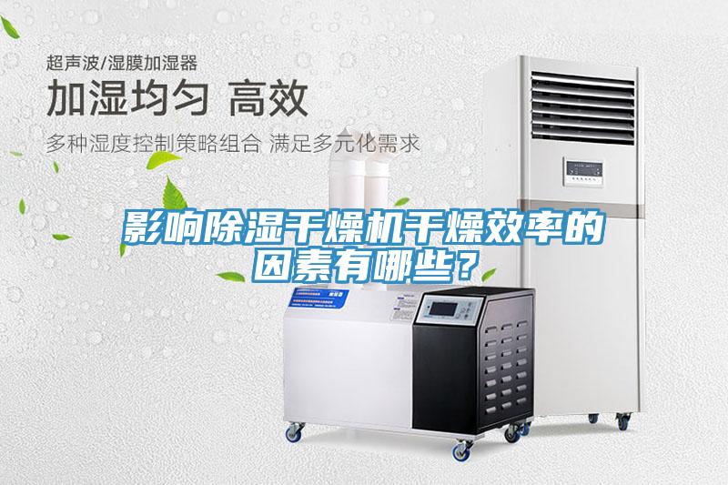影响除湿干燥机干燥效率的因素有哪些？