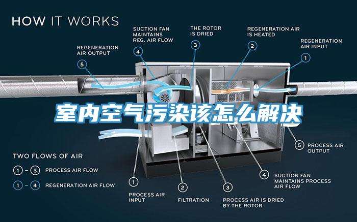 室内空气污染该怎么解决