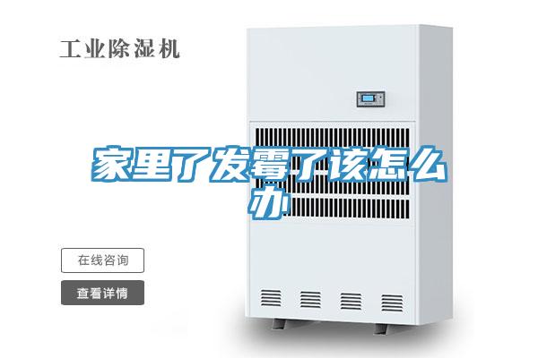 家里了发霉了该怎么办