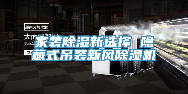 家装除湿新选择 隐藏式吊装新风除湿机