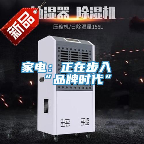 家电：正在步入“品牌时代”