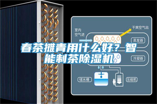 春茶摊青用什么好？智能制茶除湿机