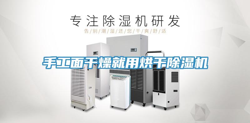 手工面干燥就用烘干除湿机