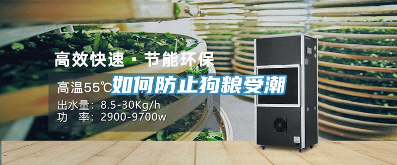 如何防止狗粮受潮