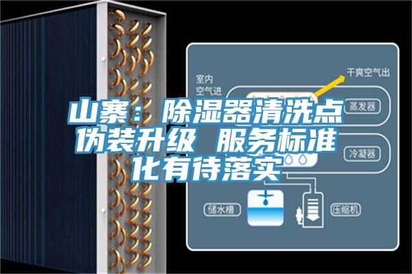 山寨：除湿器清洗点伪装升级 服务标准化有待落实
