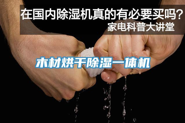 木材烘干除湿一体机