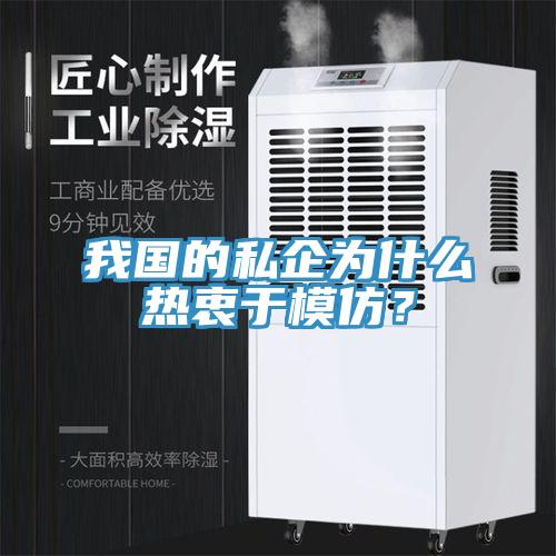 我国的私企为什么热衷于模仿？