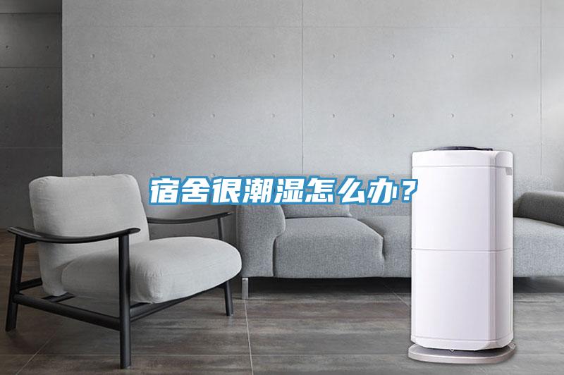 宿舍很潮湿怎么办？