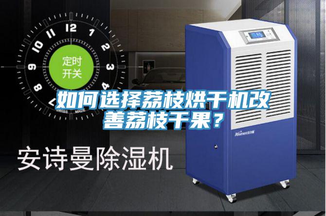 如何选择荔枝烘干机改善荔枝干果？