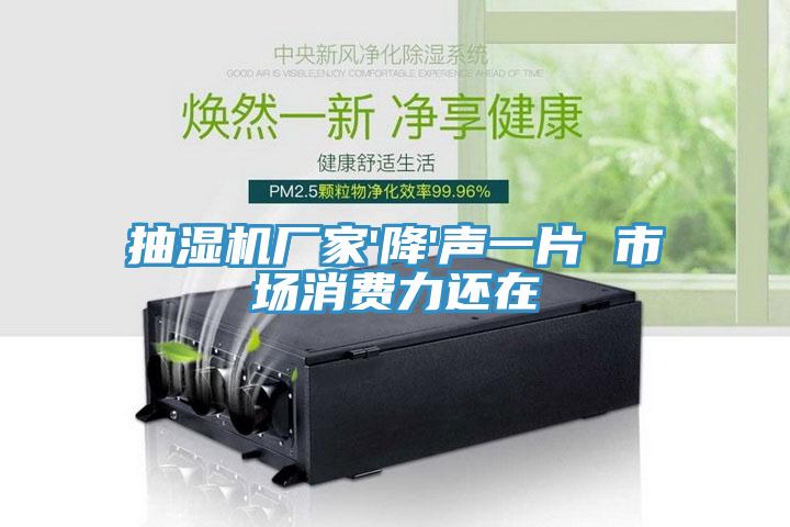 抽湿机厂家'降'声一片 市场消费力还在