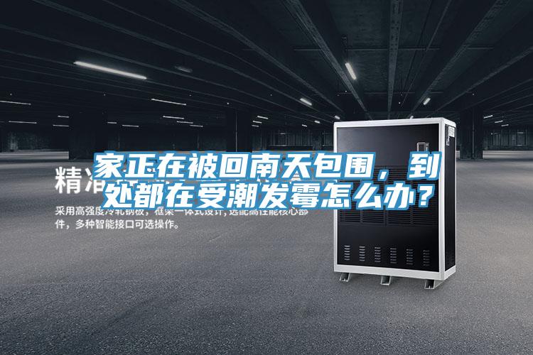 家正在被回南天包围，到处都在受潮发霉怎么办？