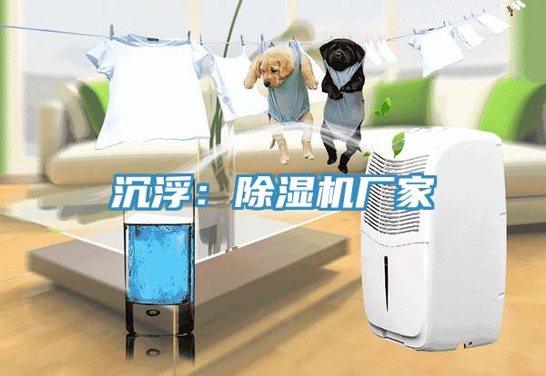 沉浮：除湿机厂家