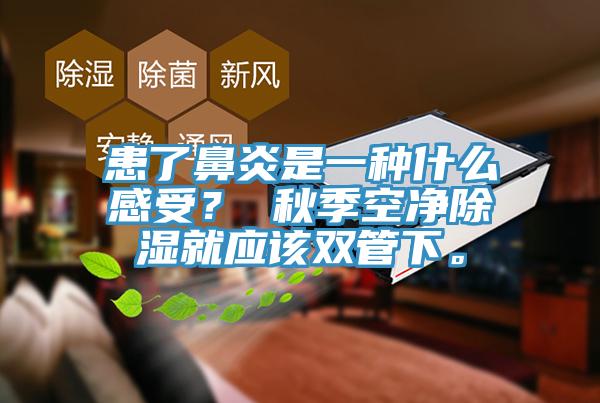 患了鼻炎是一种什么感受？ 秋季空净除湿就应该双管下。