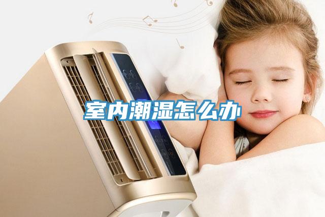 室内潮湿怎么办