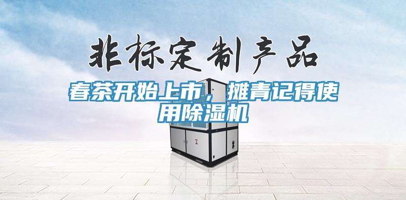 春茶开始上市，摊青记得使用除湿机