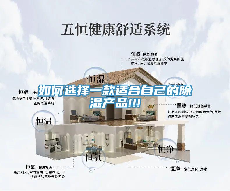 如何选择一款适合自己的除湿产品!!!
