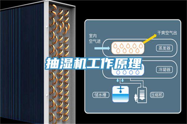 抽湿机工作原理
