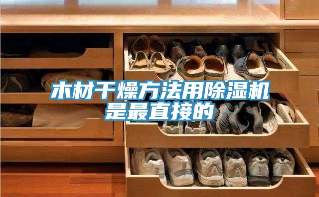 木材干燥方法用除湿机是最直接的