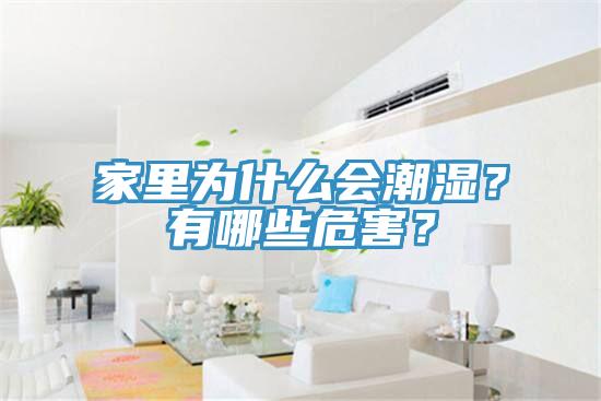 家里为什么会潮湿？有哪些危害？